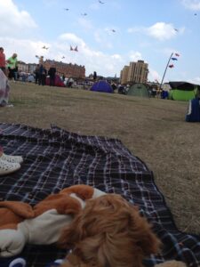 IMG-20130826-WA0002