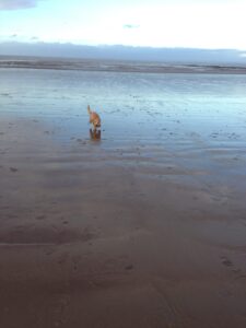 beach1