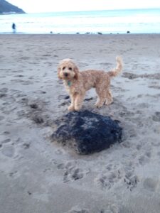 beach3