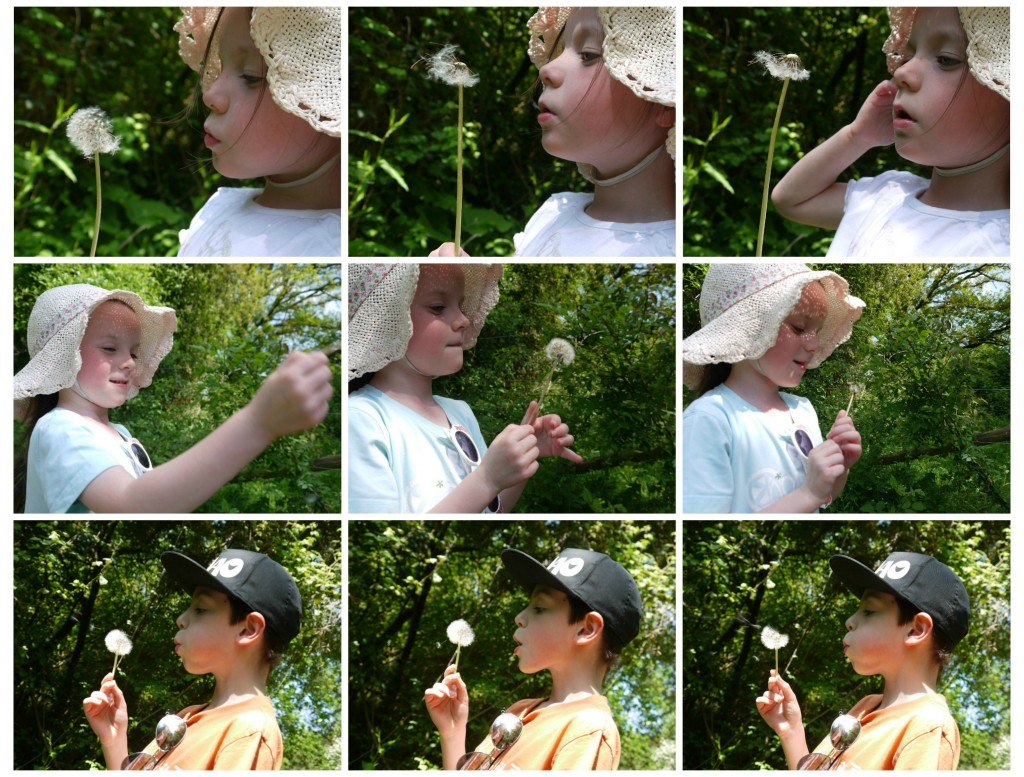 blowing_dandelions