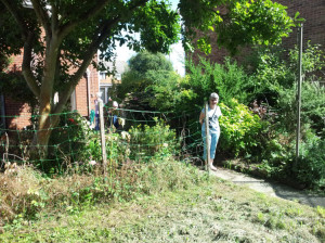 garden