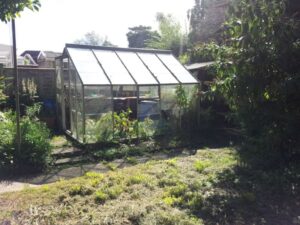 greenhouse