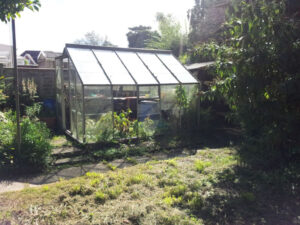 greenhouse