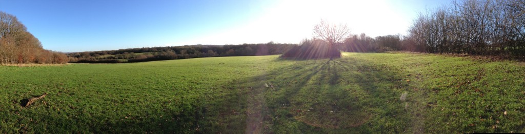 walk