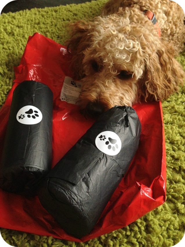 A curly-haired dog named Rusty lies on a green rug, resting its head next to two black packets of training treats wrapped with paw print stickers on a red envelope.