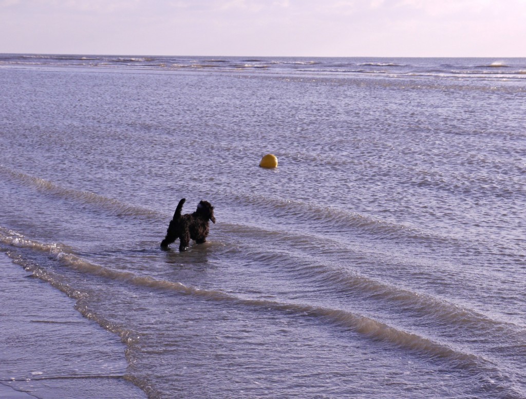 west-wittering-13
