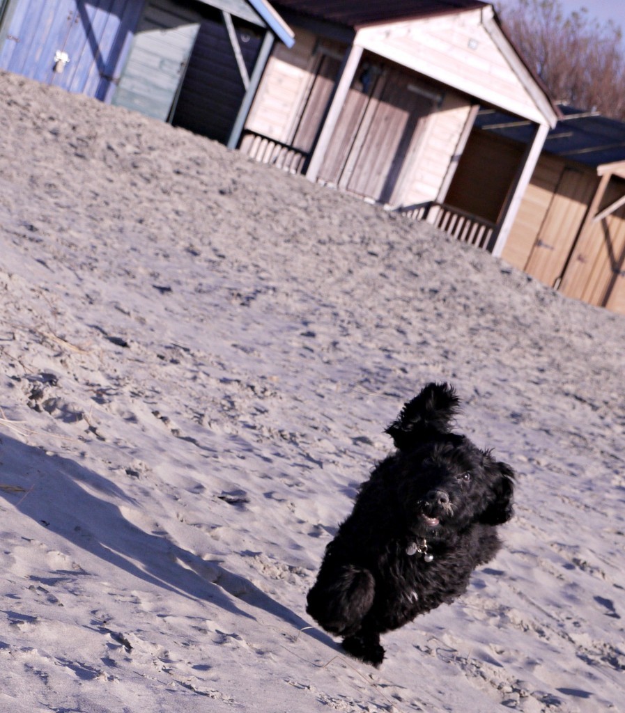 west-wittering-5