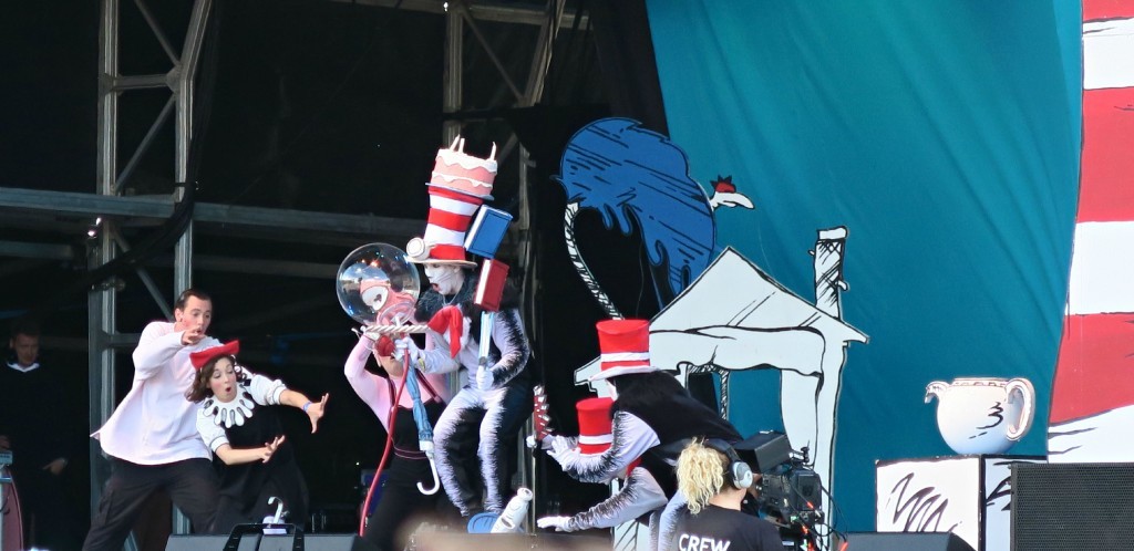 camp-bestival-cat
