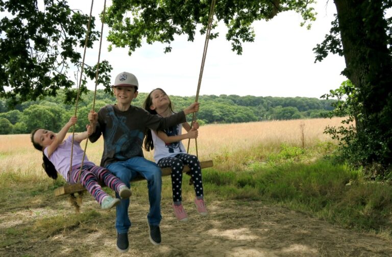 Three children sit together on a wooden swing hanging from a tree, smiling and enjoying themselves during their summer holiday in a sunny, open field with trees in the background.