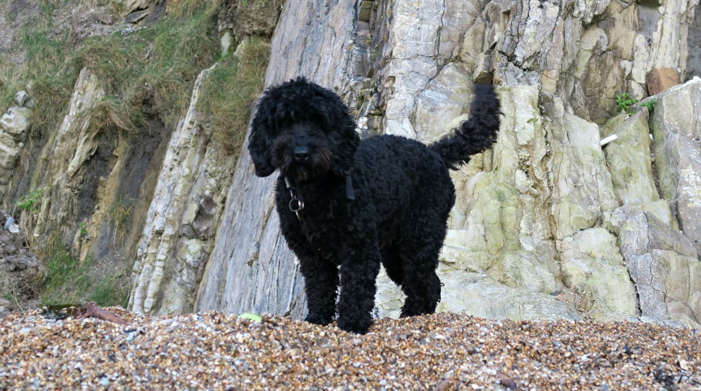 durdle-door-8