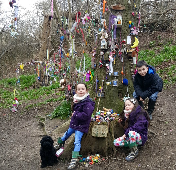 fairy-tree-burridge-9