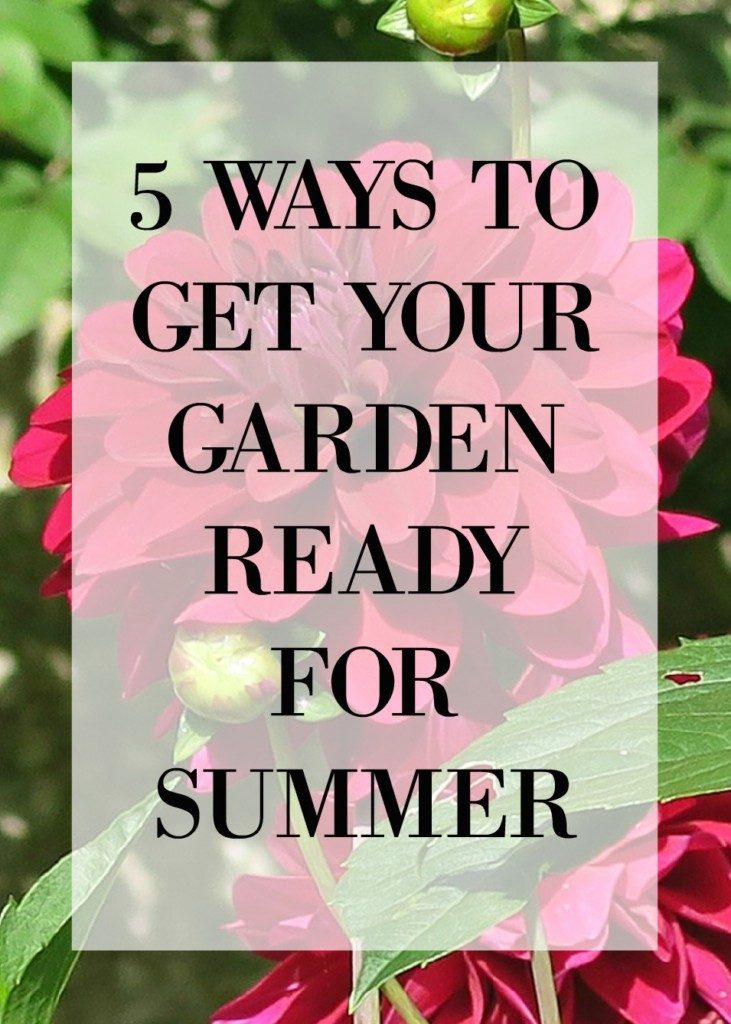 5-ways-to-get-your-garden-ready-for-summer