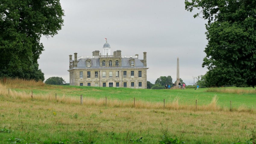 kingston-lacey-8