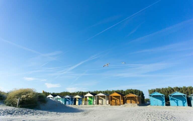 Row of colourful beach huts on sandy dunes at West Witterings, with sparse grass, two seagulls soaring in a clear blue sky with streaky clouds, and green bushes in the background—perfect for an evening visit or toasting marshmallows.