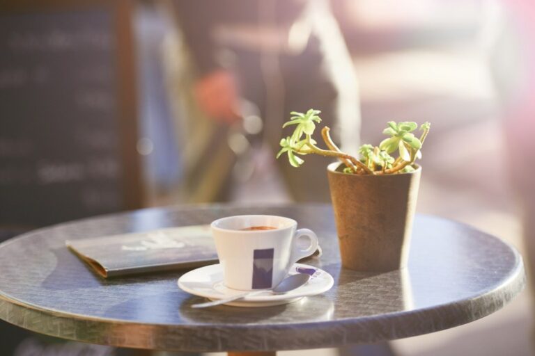 A small round café table with a cup of coffee, a closed notebook, and a potted succulent, bathed in soft sunlight—a perfect spot for planning your next sitting room transformation or jotting down quick sitting room tips.