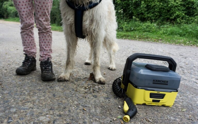 A person in pink polka-dot trousers stands next to a wet, white dog and a portable Kärcher cleaning device on a gravel path outdoors, showcasing some of the Best Dog Products for convenient pet care surrounded by lush greenery.