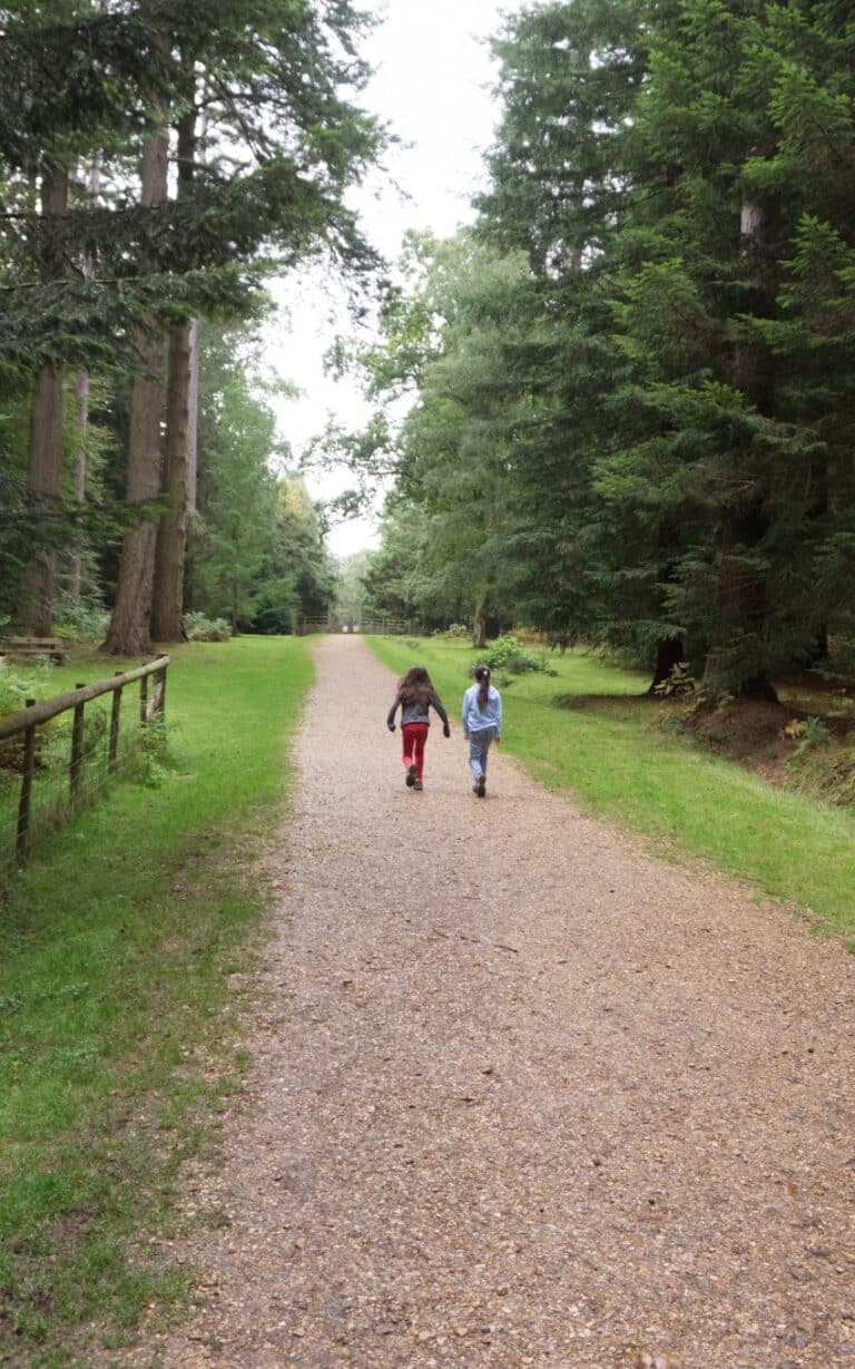 Two children walk hand in hand down a gravel path surrounded by tall trees and greenery in a forest, their backs to the camera—a peaceful moment from our weekend in pictures, week 36.