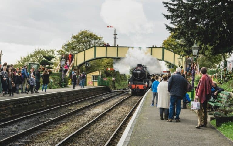 A steam train arrives at the Watercress Line station as people on the platform watch and wait. Some stand on a bridge above the tracks, and the scene is lively with greenery and festive Spooktacular Day decorations.