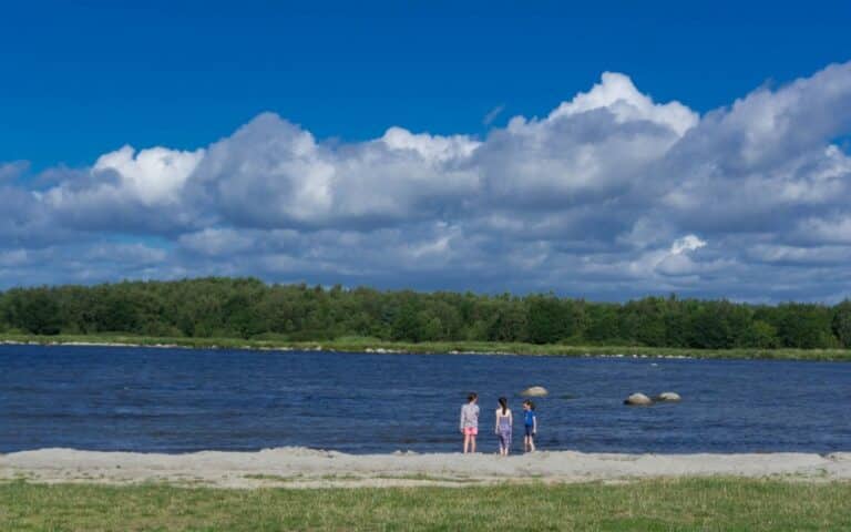 Three children stand at the edge of a calm lake with grassy and sandy shorelines, enjoying a holiday abroad with children under a bright blue sky, scattered white clouds, and trees in the distance.