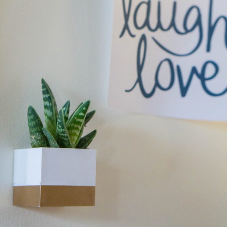A small green succulent in a gold and white plant pot is mounted on a wall near a sign that reads laugh love in cursive writing.