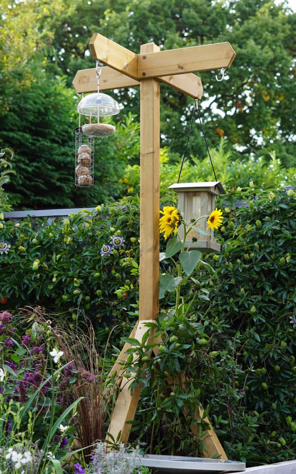 8 Household Scraps You Can Feed The Birds Renovation Bay Bee 8 Household Scraps You Can Feed The Birds Renovation Bay Bee