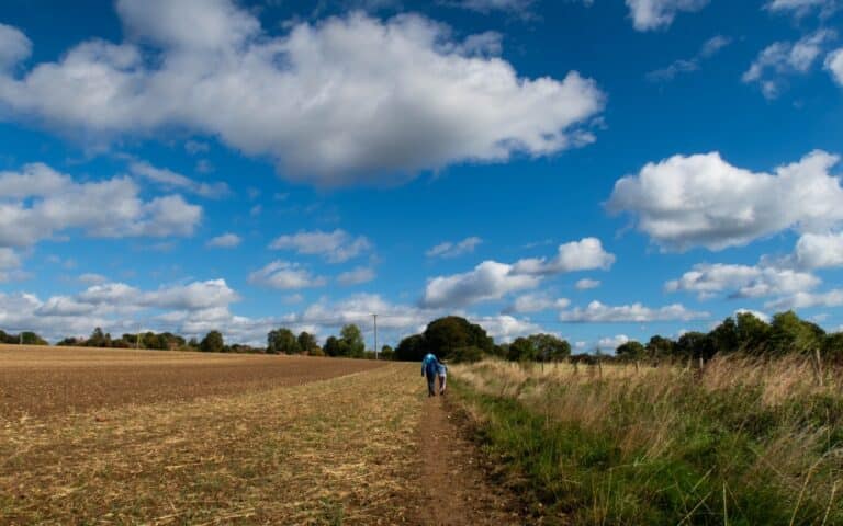 A person walks alone on a narrow dirt path between a harvested field and tall grass under a bright blue sky filled with fluffy white clouds—a tranquil moment from this Weekend In Pictures.