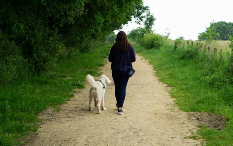 A woman with long dark hair walks along a dirt path in a green park, accompanied by her large, fluffy white dog and a handy Dicky Bag for Dogs. Trees and grass line the path on a bright, overcast day.