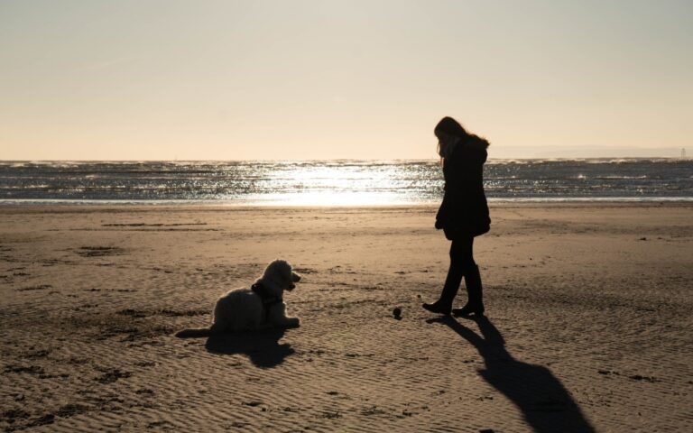 A person stands on a sandy beach facing a seated dog, the sun low on the horizon and the sea glistening in the background—capturing a tranquil Weekend In Pictures moment as their long shadows stretch across the sand.