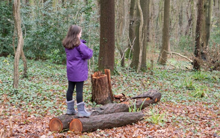 A girl in a purple jacket stands on a fallen log in a forest, looking at a tree stump. Leaves and greenery cover the ground as trees surround her—capturing a quiet moment from our Weekend In Pictures.