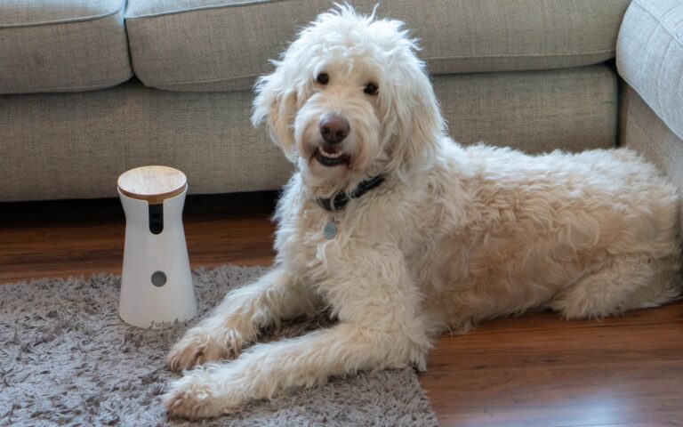 A fluffy cream-coloured dog lies on a grey rug by a beige sofa, next to a Furbo Dog Camera treat-tossing camera with a wooden top, on a wooden floor.