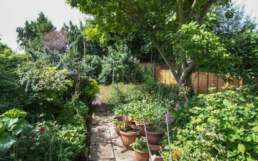 A lush, green garden with various plants and flowers thriving in pots and in the ground offers a peaceful spot for self-care, shaded by a large tree. Sunlight filters through the leaves, inviting moments of calm—one of the best ways to practise self-care.