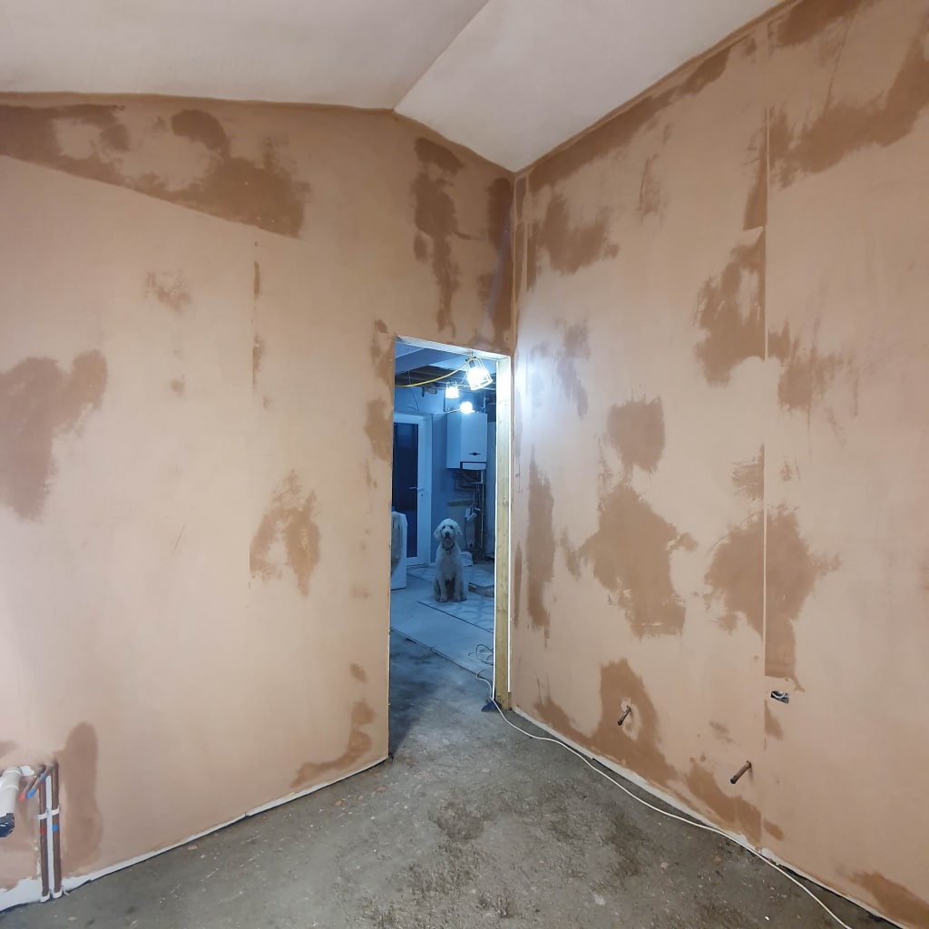 A room undergoing home renovation with unpainted plastered walls and exposed electrical sockets. Through a doorway, a dog sits in the construction area, surrounded by tools and materials showing visible building progress.