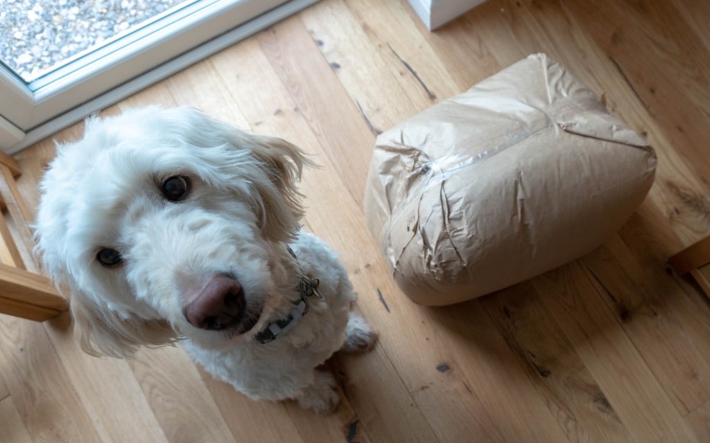 A fluffy white dog sits on a wooden floor next to a large, crumpled, brown paper-wrapped parcel—perhaps a new Dog Bed from Lupo's Nest. The dog looks up towards the camera, ready for an unboxing review.