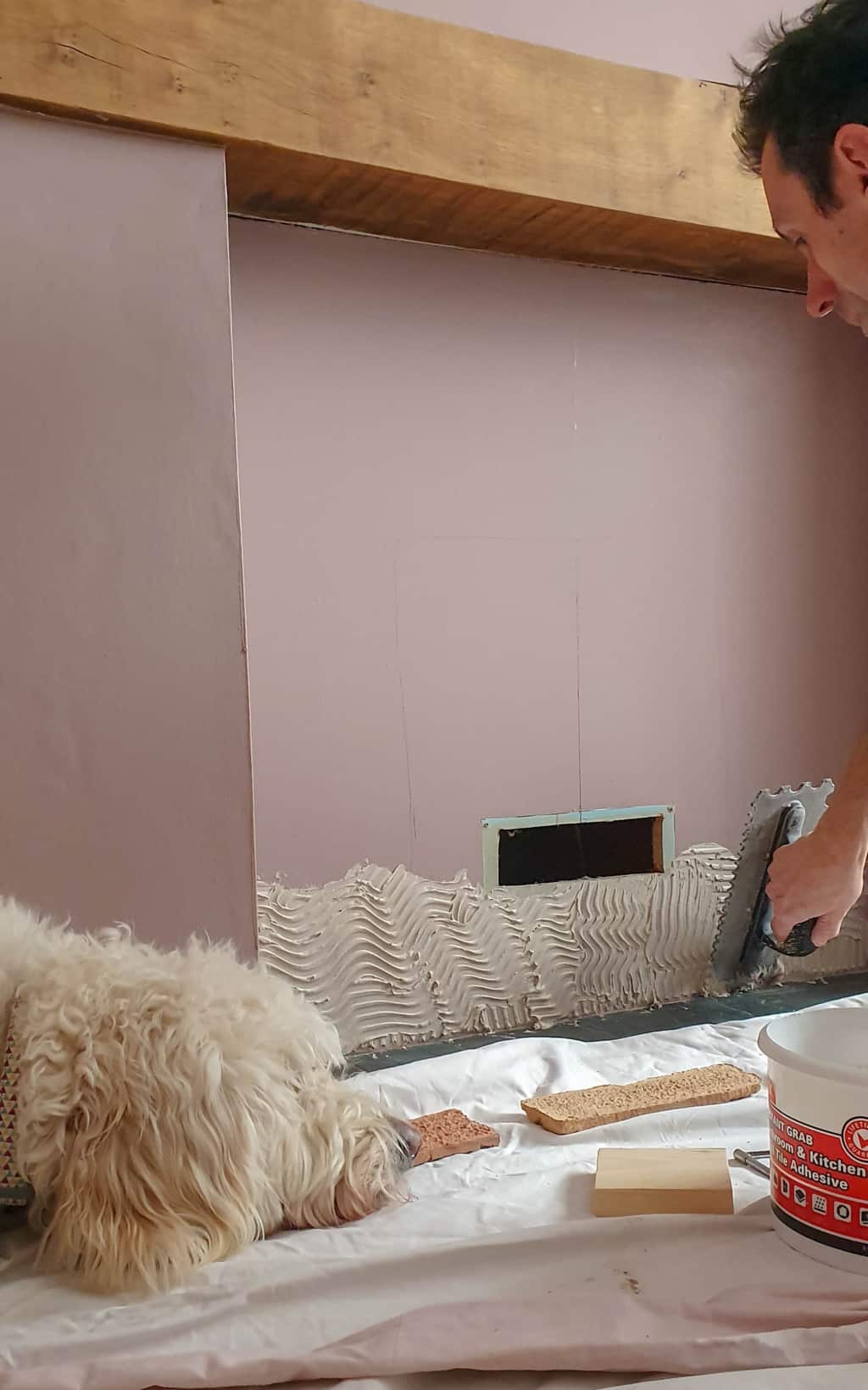 A person is spreading adhesive on a fireplace wall with a notched trowel, preparing for a Brick Slip Fireplace installation by Kuci Design, while a fluffy white dog rests nearby on the covered floor. Tools and a tub of adhesive are also visible.