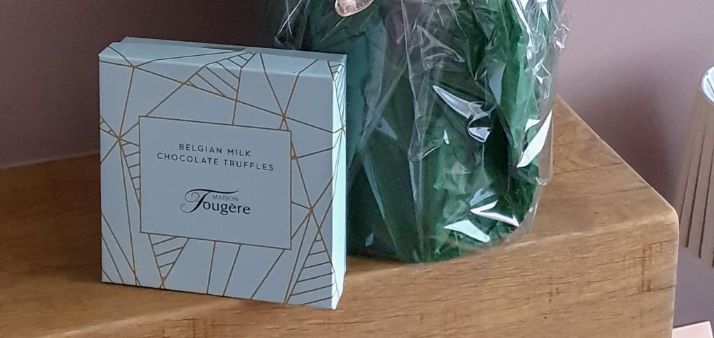 A light blue box of Belgian milk chocolate truffles by Maison Fougère sits on a wooden surface next to a green, cellophane-wrapped houseplant against a pink wall, perfect for your next Tree2mydoor Plant Review.