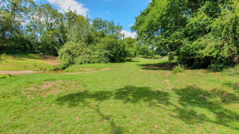A sunny, green meadow with patches of grass and earth, surrounded by dense trees and bushes under a blue sky with scattered clouds—perfect for enjoying the Bishops Waltham Walk. Shadows from the trees fall across the grass.