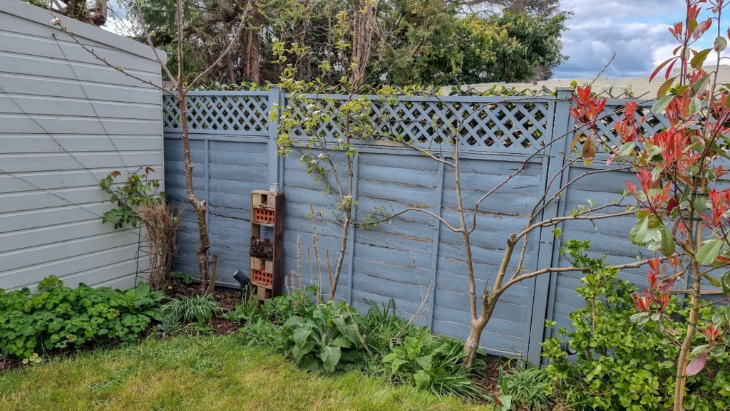 In April, my garden features light blue wooden fencing, a few small trees and shrubs, a patch of grass, and a tall insect hotel made of bricks and wooden planks set against the fence.
