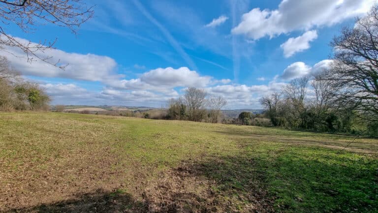 A grassy field with scattered trees under a blue sky filled with white clouds and visible vapour trails, with rolling hills in the distant background—perfect for a short walk on Shawford Down.