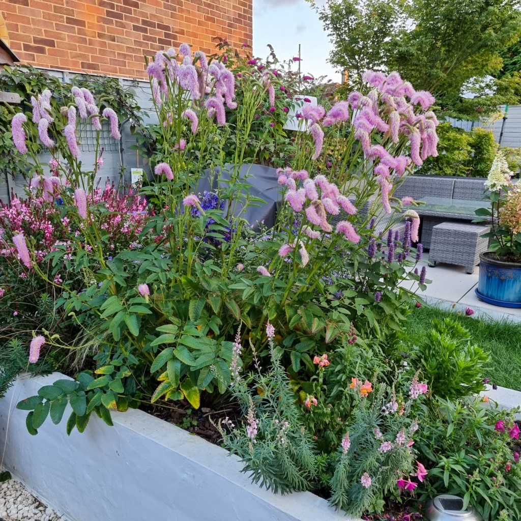 A vibrant garden bed in My Garden blooms with tall pink flowers, lush green foliage, and smaller plants. At the End Of The Summer, the patio area with outdoor furniture and a blue plant pot sits beside a brick wall and mature trees.