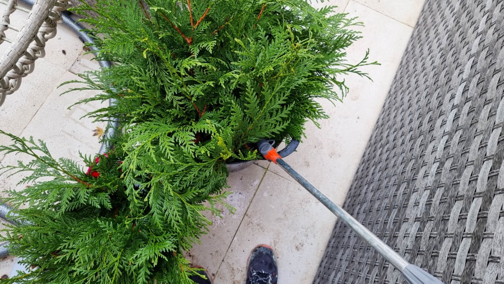 A person is watering a potted evergreen plant—perfect for making real Christmas garland—on a tiled patio using a garden hose with a red nozzle. Part of a wicker chair and the person’s shoe are visible.