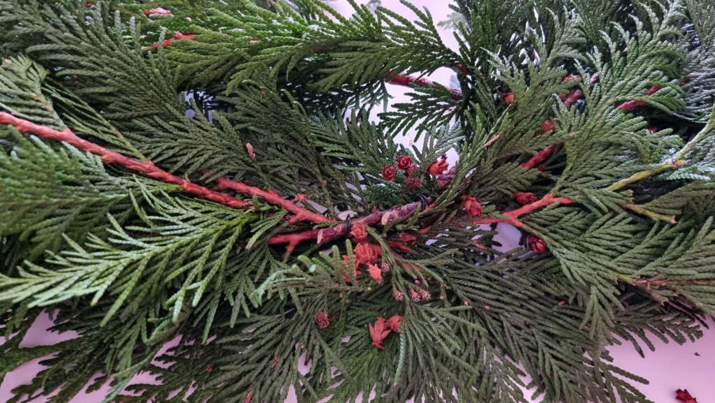 A close-up of green cedar branches with red-tinted stems and small reddish seed cones, arranged against a light background—perfect inspiration to make Christmas garland or add a natural touch to your real Christmas garland.