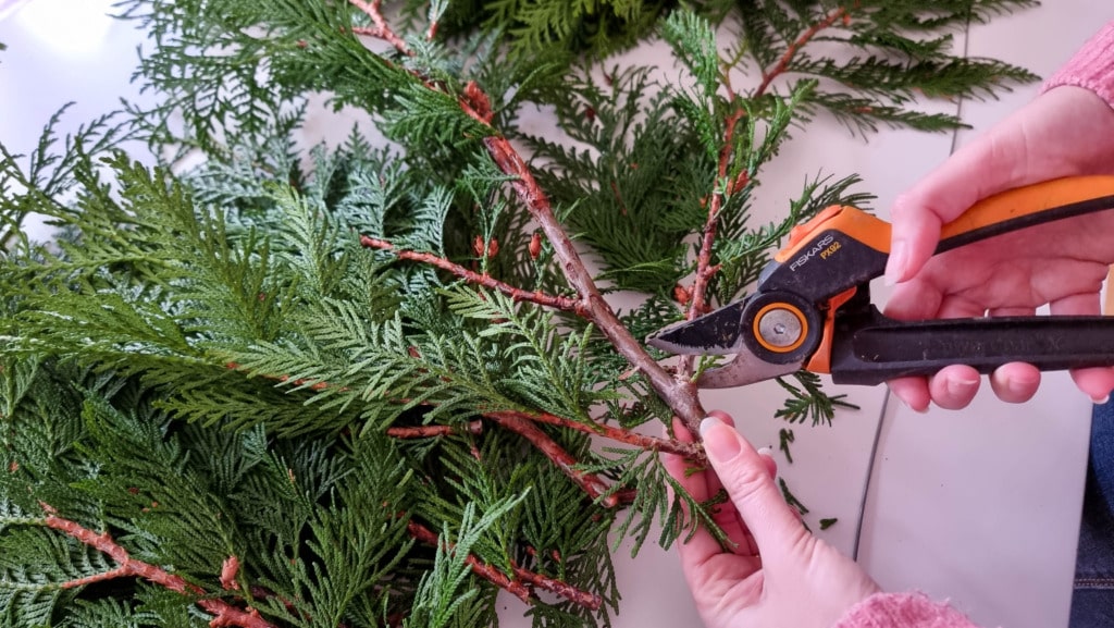Hands using secateurs to cut a branch from a green leafy evergreen plant, with several branches spread out on a white surface—perfect for making real Christmas garland.