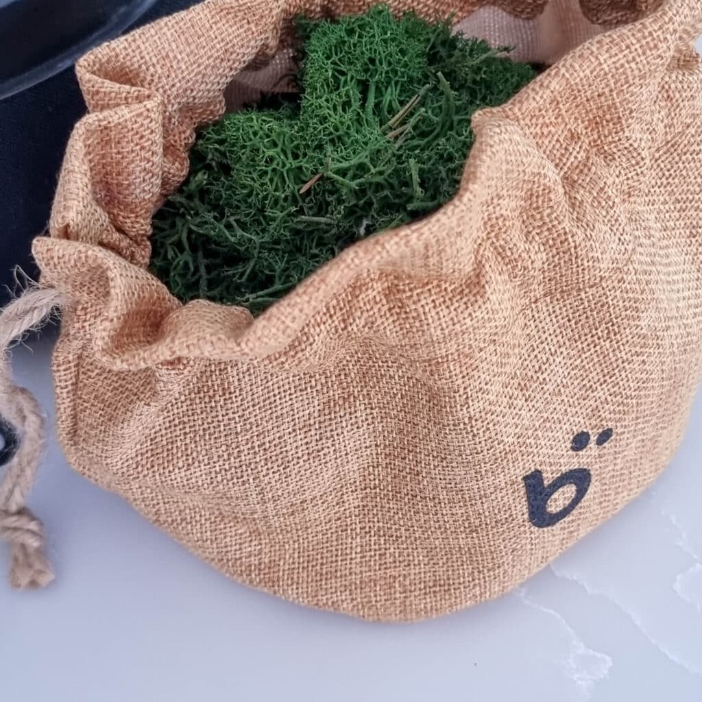 A hessian drawstring bag filled with green moss sits on a white surface, featuring a simple black Briiv logo on its side—an eco-friendly nod to the innovative Briiv Air Purifier.
