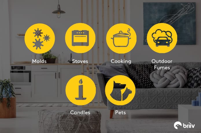 Six yellow icons show indoor air pollution sources—moulds, cookers, cooking, outdoor fumes, candles, and pets—over a modern living room. The Briiv Air Purifier logo sits in the bottom right corner for this Air Purifier Review visual.