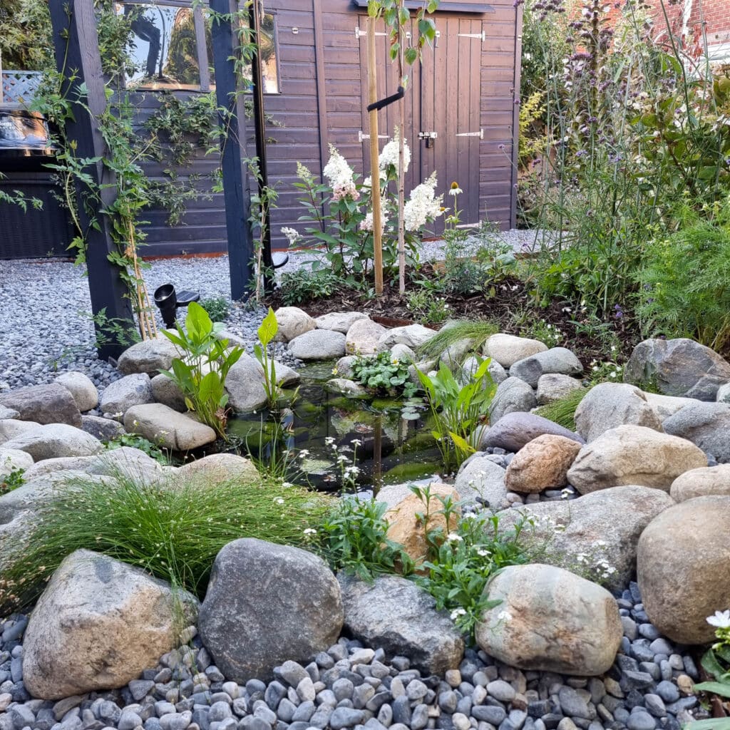 How to build a wildlife pond