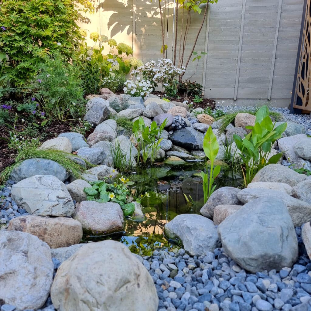 How to build a wildlife pond