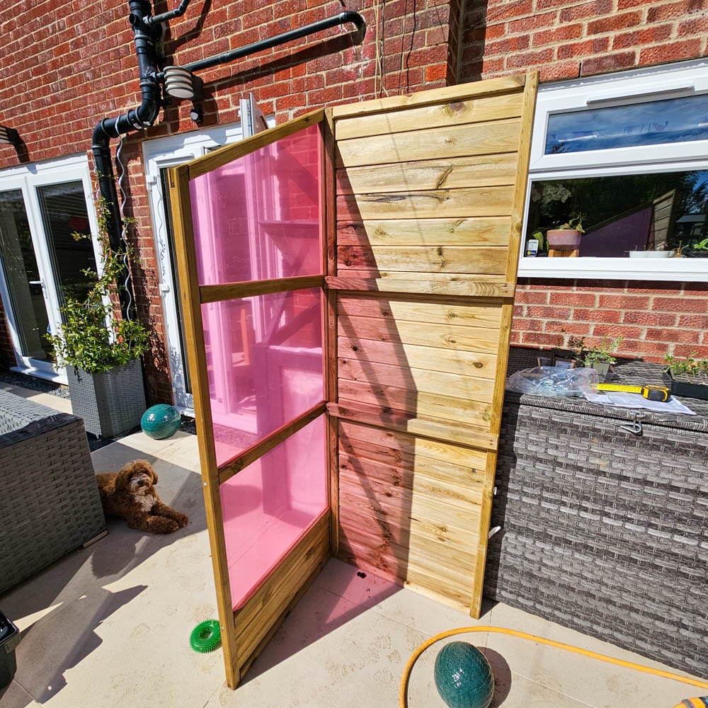 A small wooden glasshouse with pink translucent panels stands on a patio next to a brick house. Various garden items and a dog are nearby. Sunlight casts shadows, creating a charming Victorian glasshouse scene.