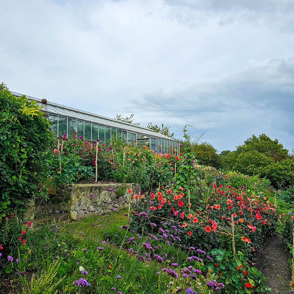 A lush Garden Getaway with colourful flowers and tall green plants grows beside a greenhouse with glass walls under a cloudy sky. The vibrant scene, inspired by Sarah Raven Gardens, is surrounded by trees and rich greenery.
