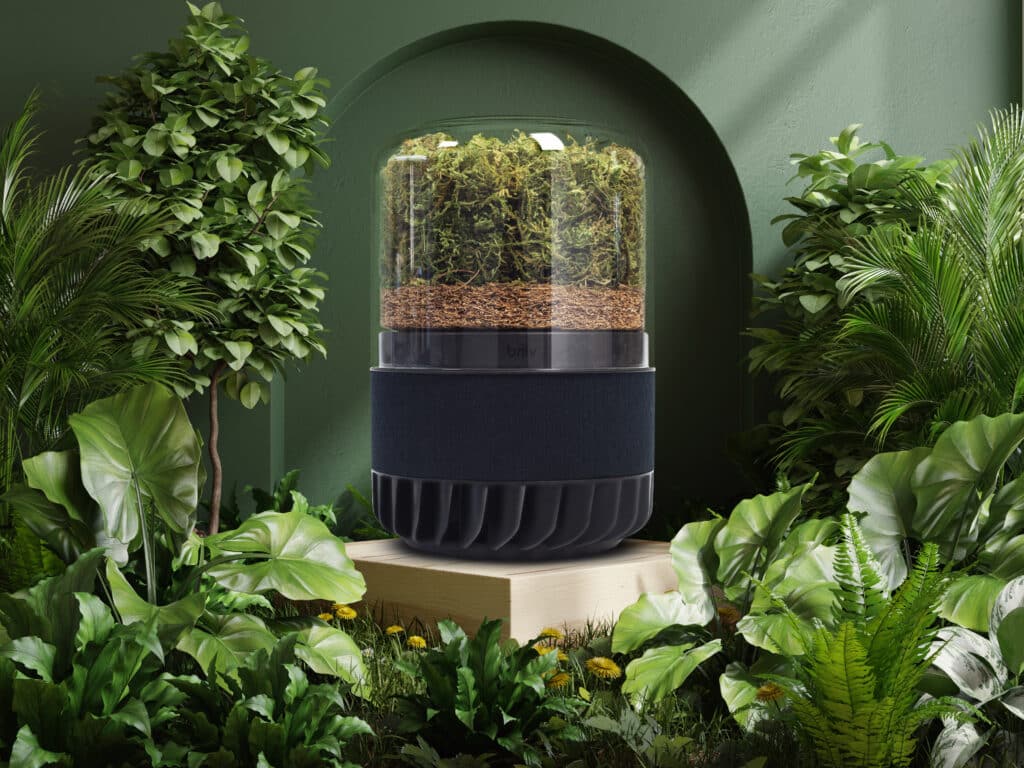A modern terrarium with a clear cylindrical top and dark base sits on a wooden pedestal, surrounded by lush green plants—an aesthetic reminiscent of designs featured in a Briiv Air Purifier review against a green wall with an arched recess.