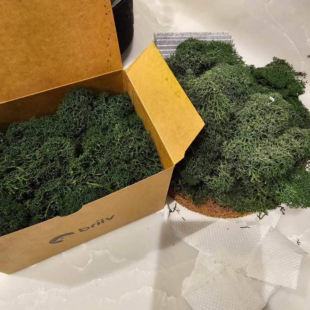 A cardboard box filled with green preserved moss sits on a worktop next to a pile of loose moss, kitchen roll, and a small piece of corrugated material—perfect for an update or review related to the Briiv Air Purifier.